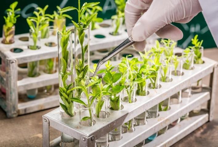 LEI QUE REGULAMENTA PRODUÇÃO DE BIOINSUMOS JÁ ESTÁ EM VIGOR NO BRASIL