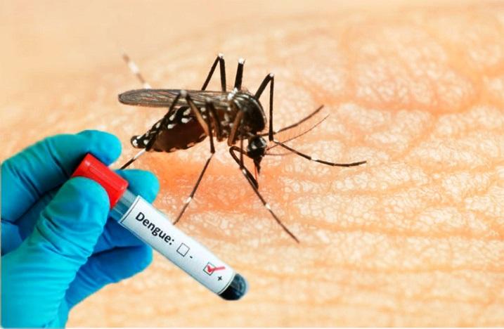 CASOS CONFIRMADOS DE DENGUE NO ESTADO QUASE TRIPLICARAM EM SETE DIAS