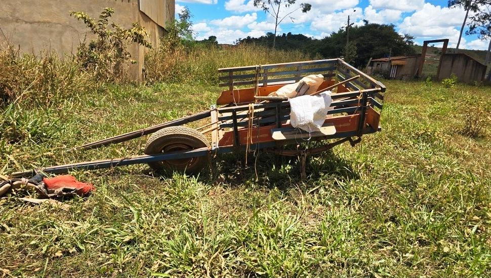 CAVALO DESNORTEADO PROVOCA ACIDENTE COM CARROÇA E DEIXA IDOSO FERIDO EM PATOS DE MINAS