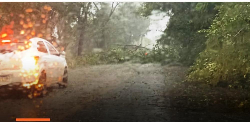 CHUVA ACOMPANHADA DE VENTOS FORTES DERRUBA ÁRVORES E INTERDITA TRECHO DA MGC-354 EM VAZANTE