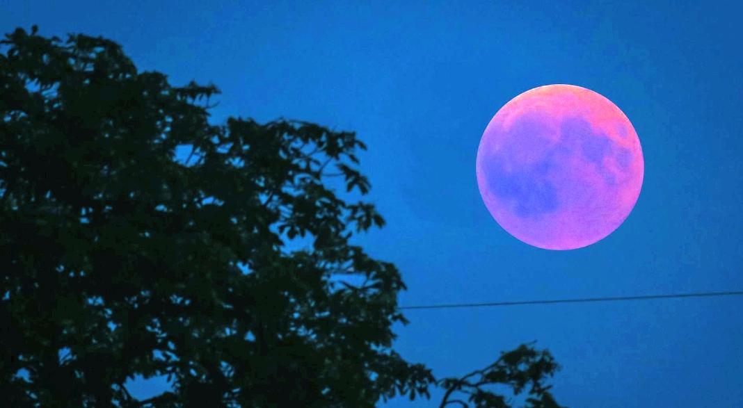 PRIMEIRO ECLIPSE LUNAR DO ANO ACONTECE NA MADRUGADA DESTA SEXTA-FEIRA (14)
