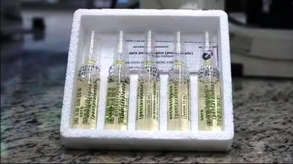 RETOMADA NA PRODUÇÃO DE SOROS ANTIPEÇONHENTOS VAI SUPRIR FALTA DOS MEDICAMENTOS EM MINAS