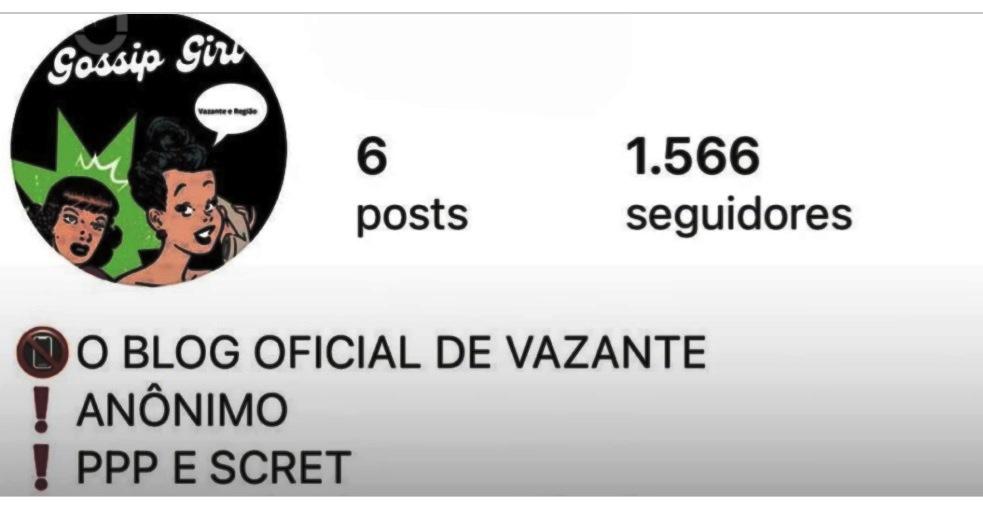 PERFIL ANÔNIMO NO INSTAGRAM DISSEMINA BOATOS, BULLYING E DIFAMAÇÃO EM VAZANTE