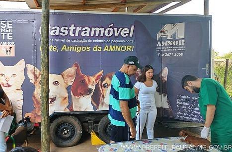 SECRETARIA DE SAÚDE DE VAZANTE ANUNCIA CAMPANHA DE CASTRAÇÃO GRATUITA PARA CÃES E GATOS
