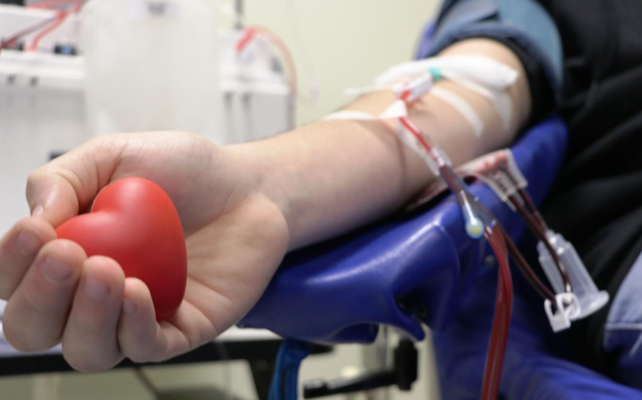 NESTE SÁBADO TEM CAMPANHA DE DOAÇÃO DE SANGUE NA POLICLÍNICA MUNICIPAL DE VAZANTE