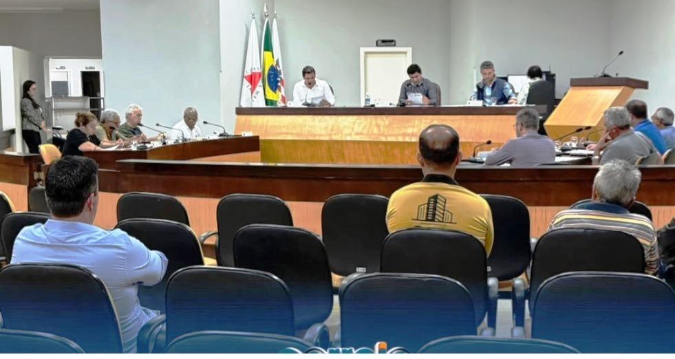 ATUAÇÃO DA CEMIG SERÁ TEMA DE REUNIÃO NA CÂMARA MUNICIPAL DE VAZANTE