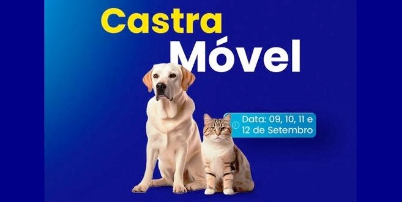 VAZANTE TERÁ NOVA ETAPA DE CASTRAÇÃO GRATUITA DE CÃES GATOS