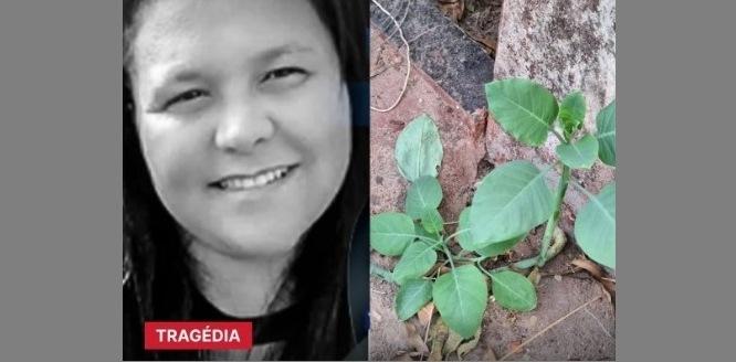 MULHER QUE COMEU ‘FALSA COUVE’ MORRE APÓS SEIS DIAS ENTUBADA EM PATROCÍNIO