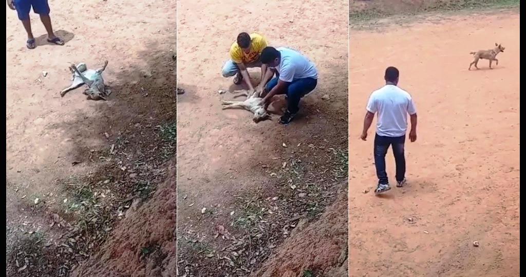 POLICIAL MILITAR SALVA VIDA DE CACHORRO QUE SOFREU MAL SÚBITO EM CAMPO DE FUTEBOL