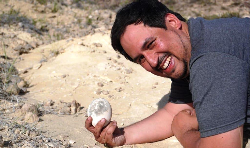 PESQUISADORES DESCOBREM OVO DE DINOSSAURO CARNÍVORO DE 70 MILHÕES DE ANOS