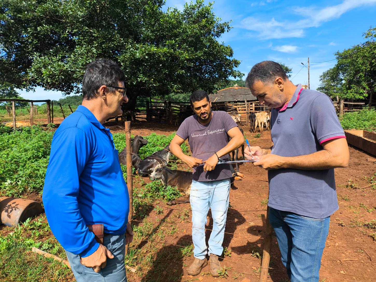 SECRETARIA AVALIA IMPACTOS DE PROGRAMA DE APOIO AOS AGRICULTORES FAMILIARES DE VAZANTE