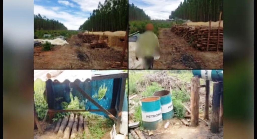 FAZENDEIRO É DENUNCIADO POR TRABALHO ESCRAVO EM CARVOARIA NO ALTO PARANAÍBA