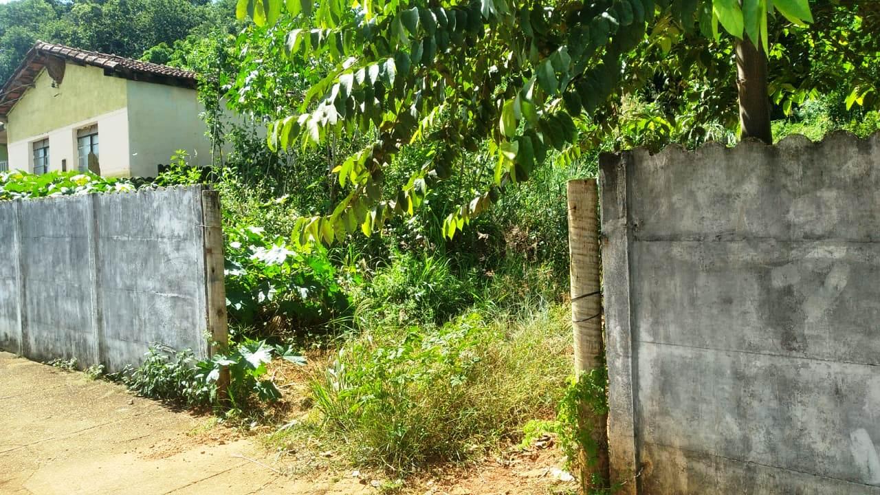 PROPRIETÁRIOS DE LOTES SUJOS PODEM SER MULTADOS PELA PREFEITURA EM VAZANTE