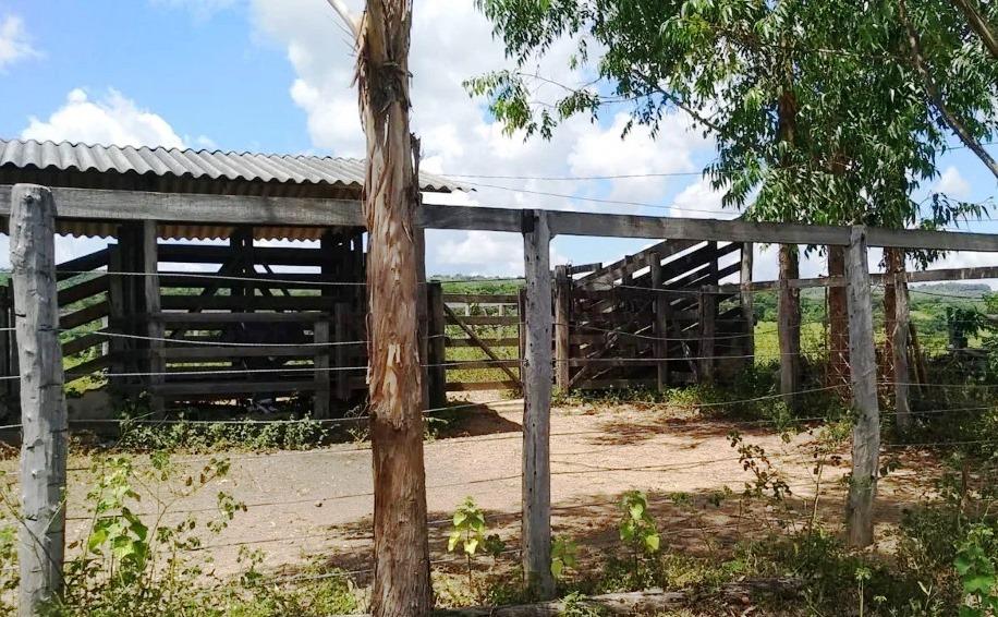 POLÍCIA PROCURA SUSPEITOS DE FURTAR 16 CABEÇAS DE GADO NO MUNICÍPIO DE PRESIDENTE OLEGÁRIO