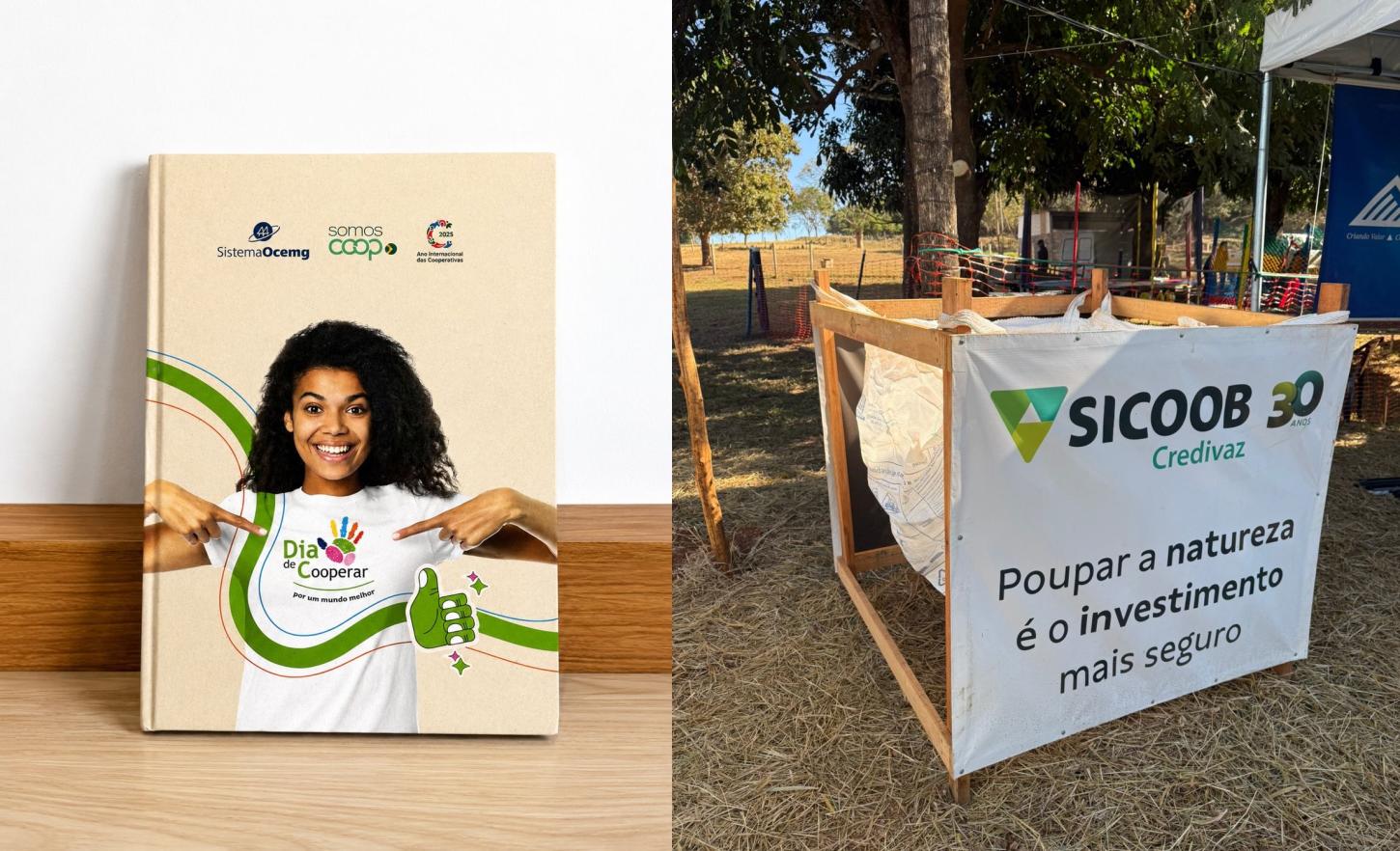 LIVRO REPERCUTE AÇÃO AMBIENTAL DO SICOOB CREDIVAZ E MADEIREIRA BRASIL MINAS