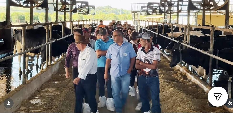 REPRESENTANTES DE ASSOCIAÇÕES RURAIS DE VAZANTE PARTICIPAM DE VISITA TÉCNICA DO PROGRAMA NEXA TRANSFORMA
