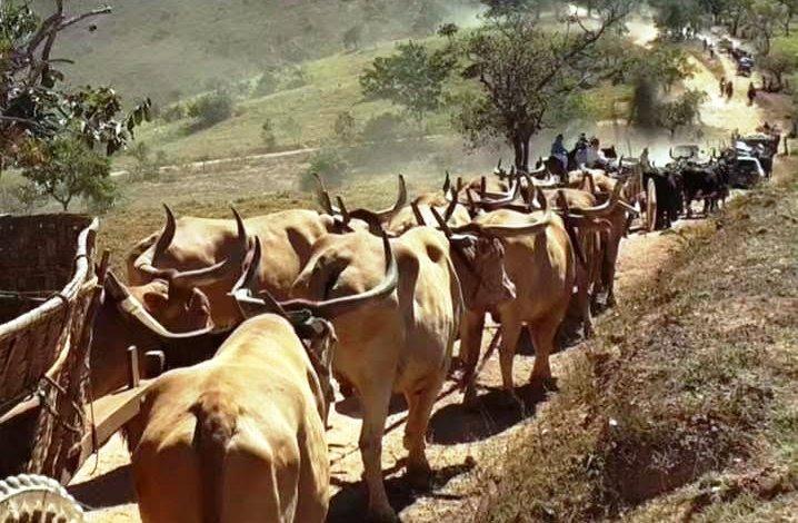 ASSOCIAÇÃO FINALIZA PREPARATIVOS PARA A 29ª FESTA DO CARRO DE BOI DA CACHOEIRA EM VAZANTE