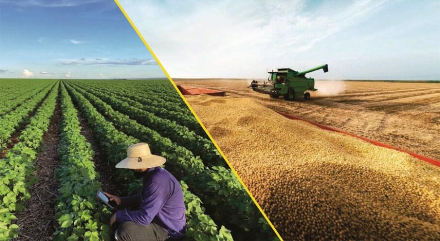 BRASIL ESTÁ PRÓXIMO DE ASSUMIR O POSTO DOS EUA DE MAIOR EXPORTADOR AGRÍCOLA DO MUNDO