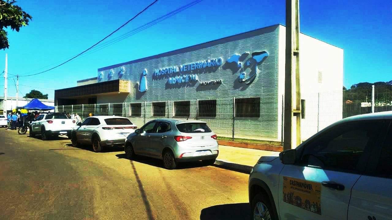 PREFEITURA ABRE INSCRIÇÕES PARA CASTRAÇÃO GRATUITA DE CÃES E GATOS EM VAZANTE