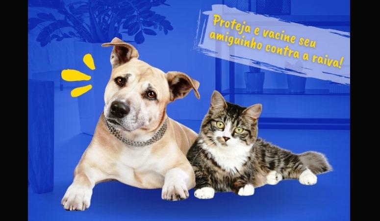PREFEITURA DE VAZANTE INICIA CAMPANHA DE VACINAÇÃO ANTIRRÁBICA NA PRÓXIMA SEGUNDA-FEIRA (3)