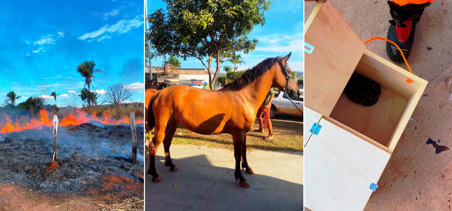 BRIGADA MUNICIPAL DE VAZANTE ATENDEU 352 OCORRÊNCIAS NA CIDADE E NO MEIO RURAL