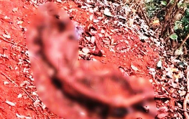 OSSADA HUMANA É ENCONTRADA ÀS MARGENS DA BR-354 NO MUNICÍPIO DE RIO PARANAÍBA
