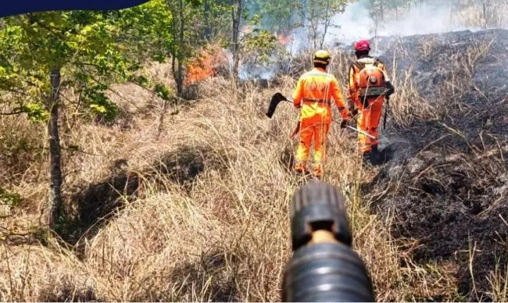 BOMBEIROS COMBATEM INCÊNDIO QUE AMEAÇAVA RESIDÊNCIA DE PROPRIEDADES RURAIS EM LAGOA FORMOSA